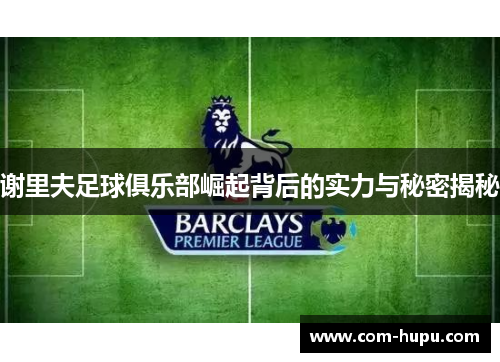 谢里夫足球俱乐部崛起背后的实力与秘密揭秘