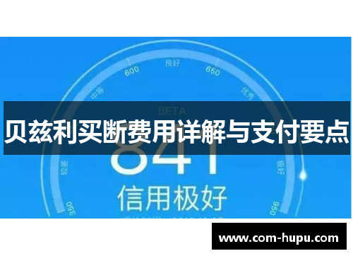 贝兹利买断费用详解与支付要点