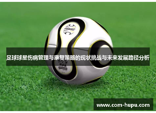 足球球星伤病管理与康复策略的现状挑战与未来发展路径分析