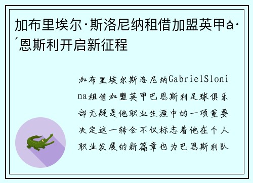 加布里埃尔·斯洛尼纳租借加盟英甲巴恩斯利开启新征程